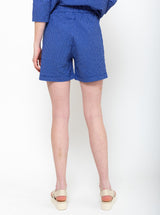Aequamente - Shorts - Blue Checks - Verdalina