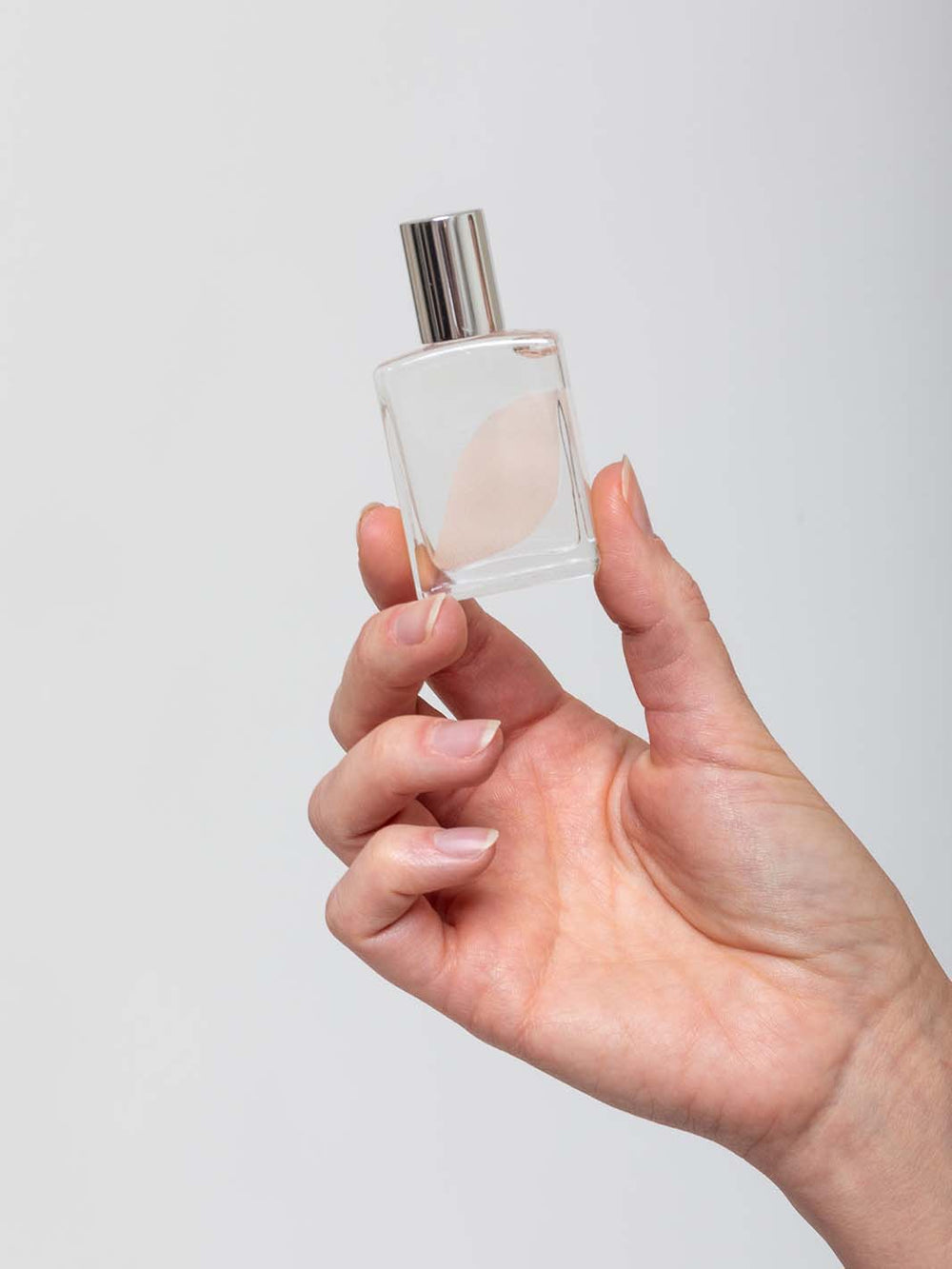 1509 | Sophia Fragrance Oil | Verdalina