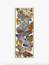 Inoui Editions - 70 Papillons Stole - Verdalina