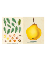 Hachette Books - John Derian Sticker Book - Verdalina