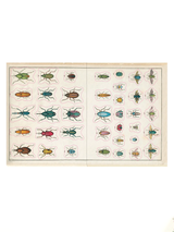 Hachette Books - John Derian Sticker Book - Verdalina