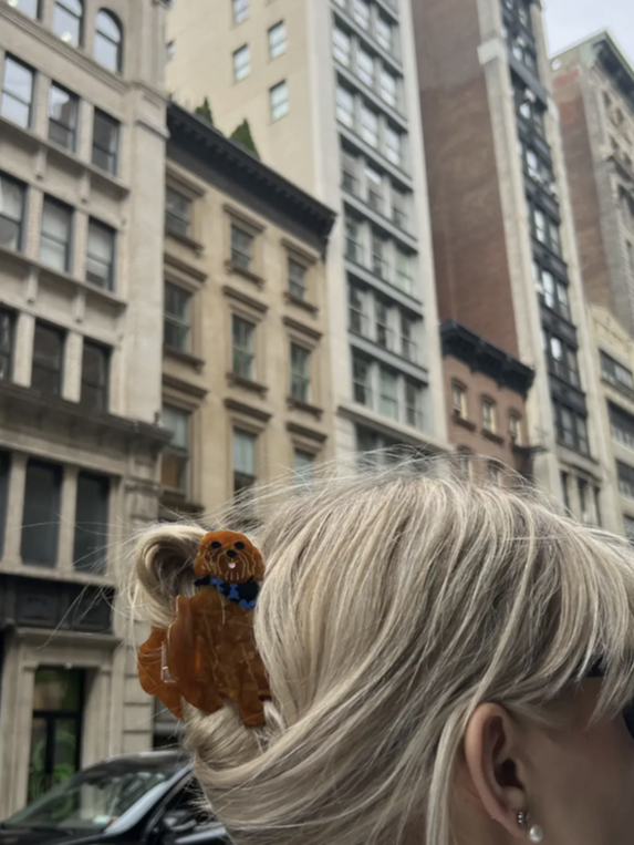 Solar Eclipse - Solar Eclipse Hair Claw Clip - Verdalina