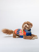 Patchwork Stripe Dog Sweater - Rainbow
