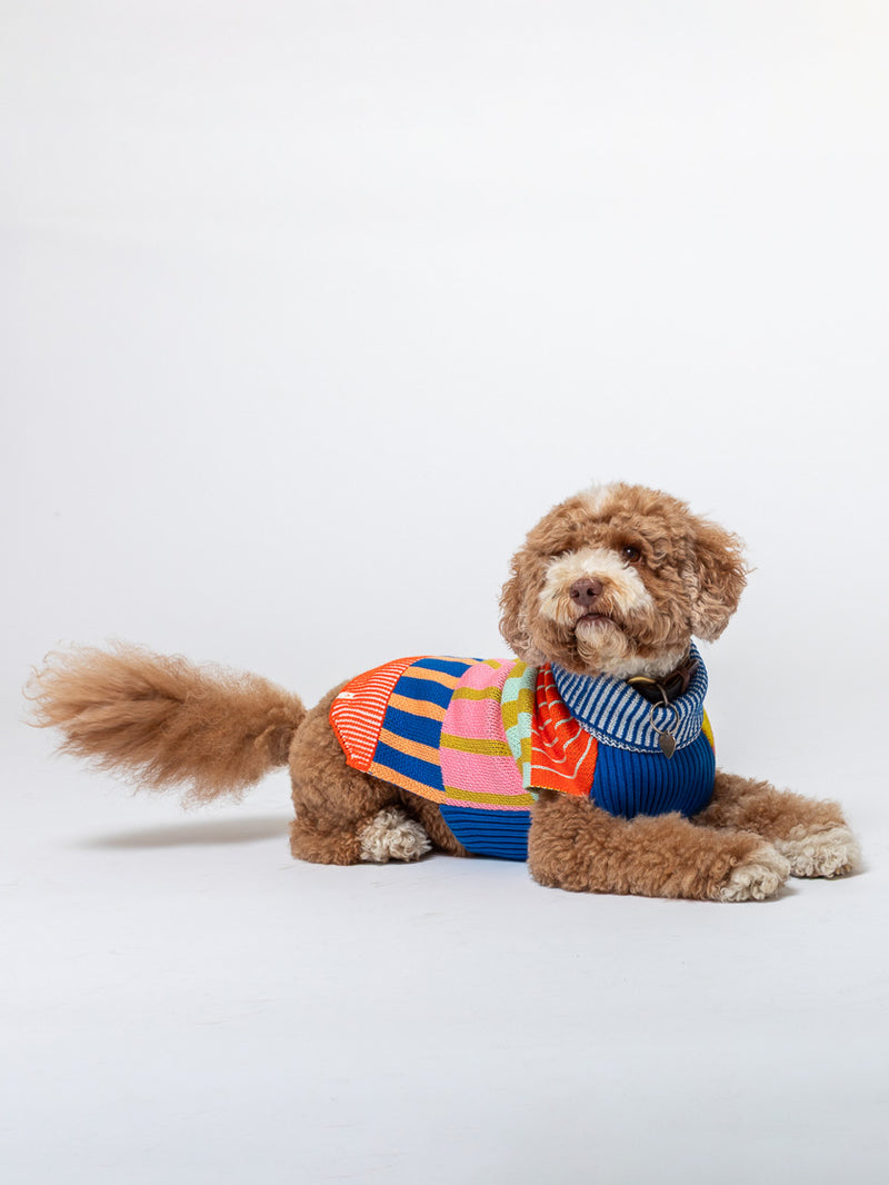 Patchwork Stripe Dog Sweater - Rainbow