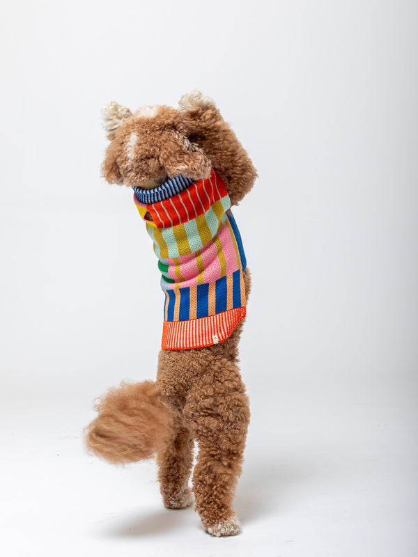 Patchwork Stripe Dog Sweater - Rainbow