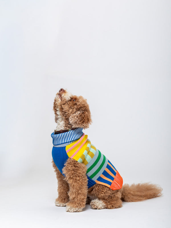 Patchwork Stripe Dog Sweater - Rainbow