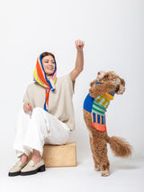 Patchwork Stripe Dog Sweater - Rainbow