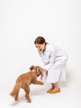 Aletheia - Koralie Dress- White - Verdalina
