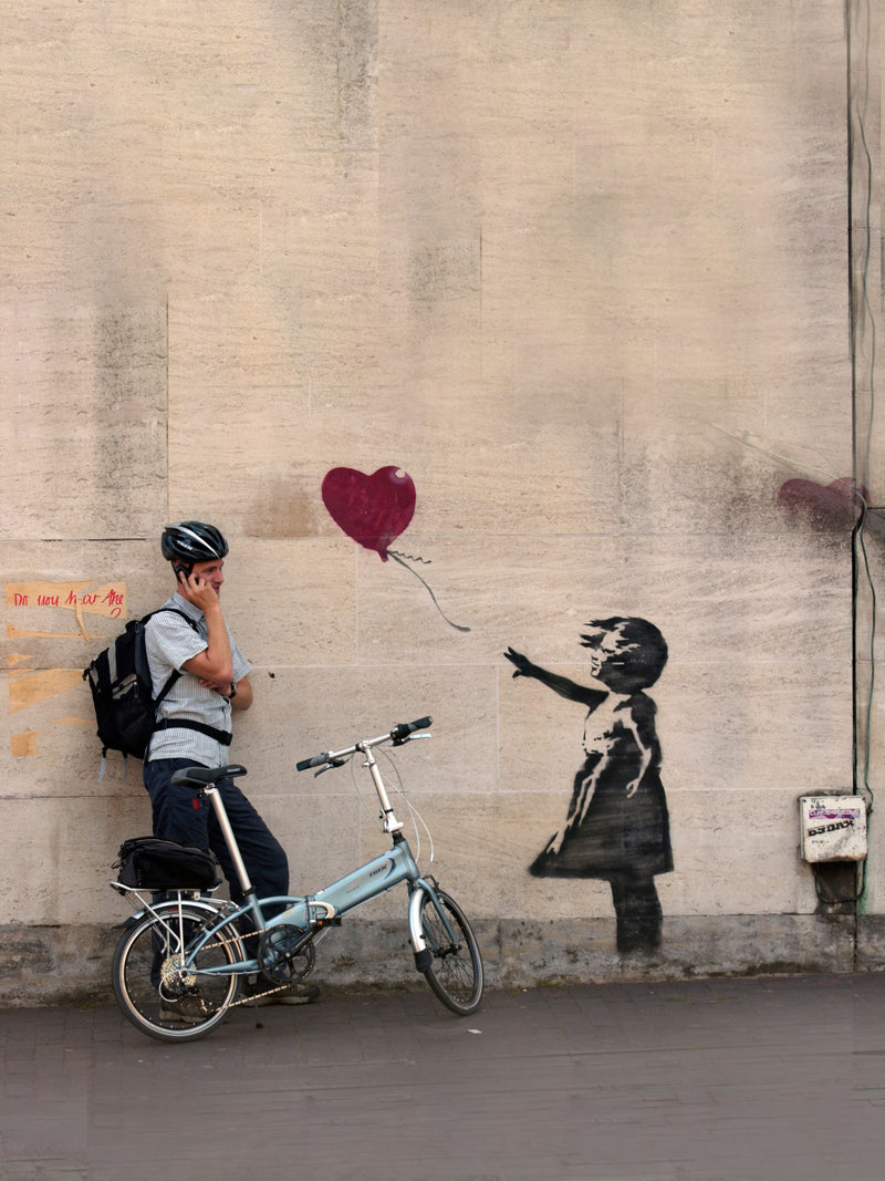 Will Ellsworth-Jones - Banksys Lost Works - Verdalina