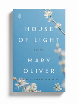Penguin Random House - House of Light - Verdalina