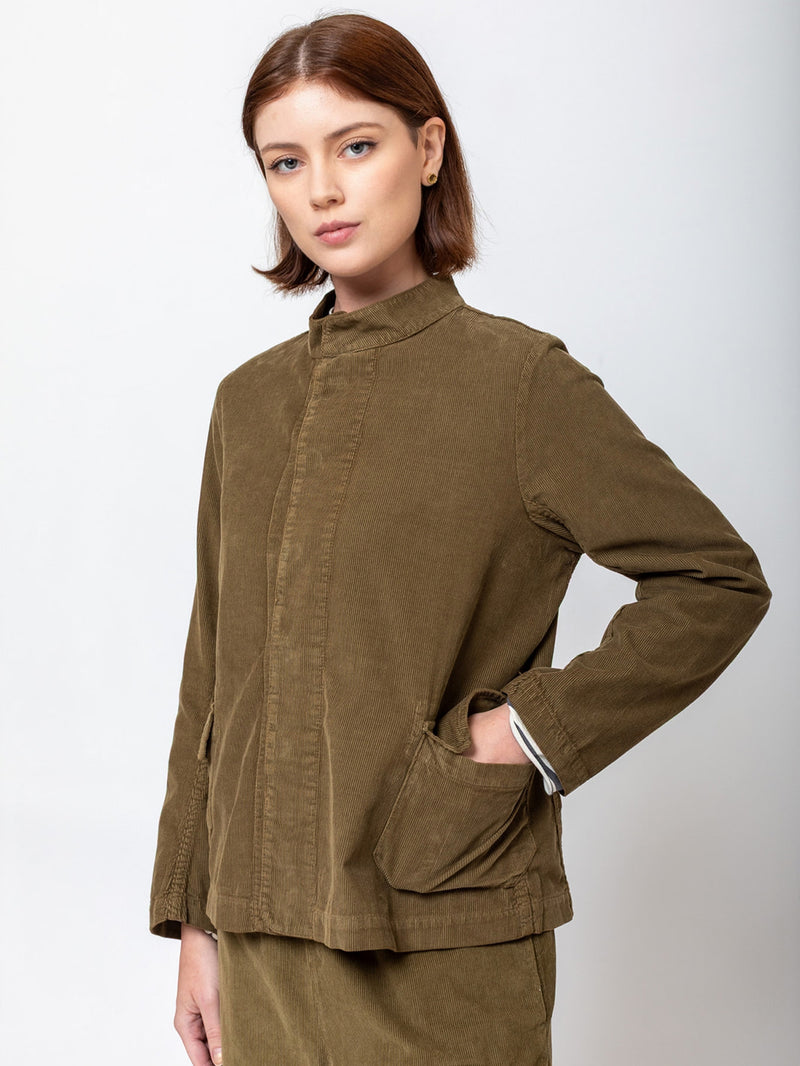 Pinolo Needlecord Jacket - Olive