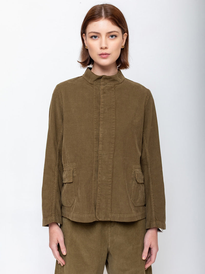 Pinolo Needlecord Jacket - Olive