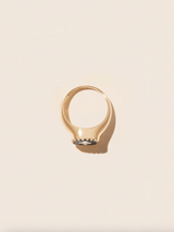 Pascale Monvoisin - Pierrot Signet Ring - Black - Verdalina